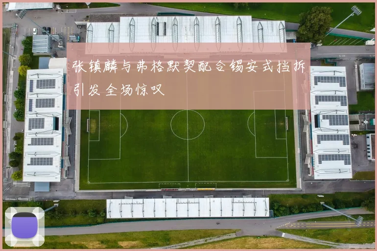 张镇麟与弗格默契配合锡安式挡拆引发全场惊叹